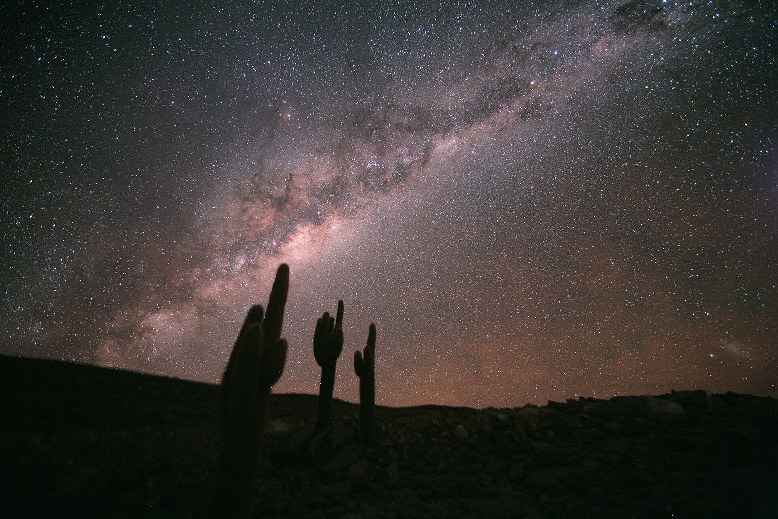 Vía Láctea sobre cactus