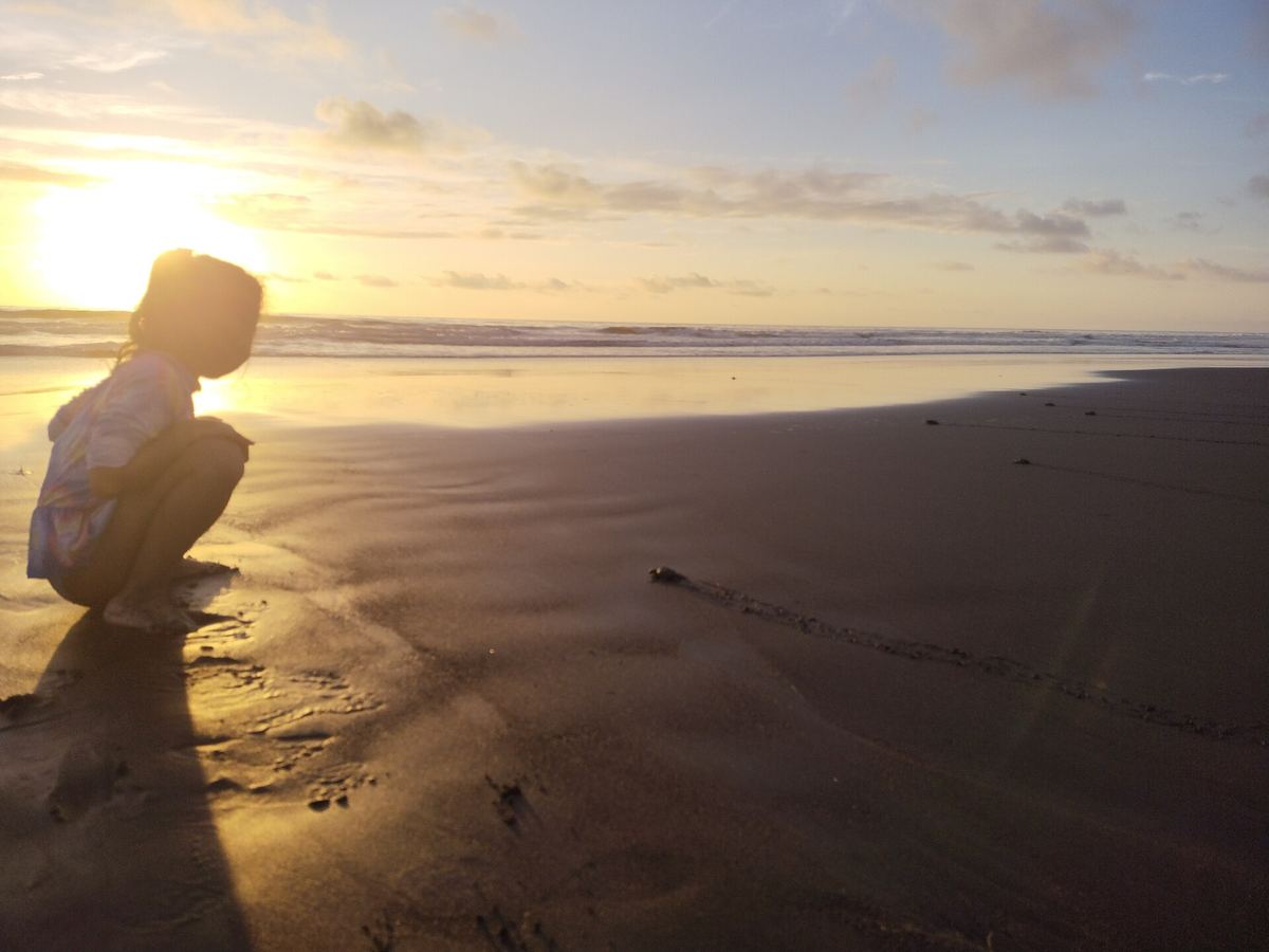 Niña observando una cría de tortuga rumbo al mar